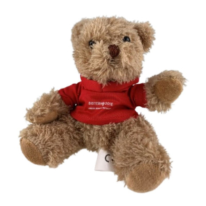 "Sisterhoodie" Barbara Bear in Red Top